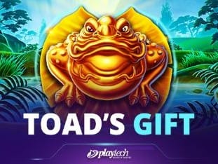 Toads Gift game cover
